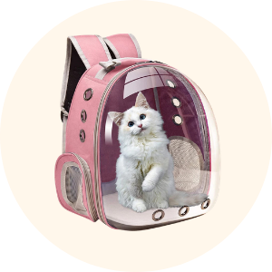 Cat bag