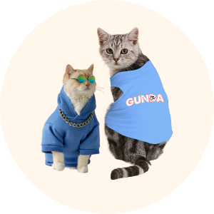 Cat clothes